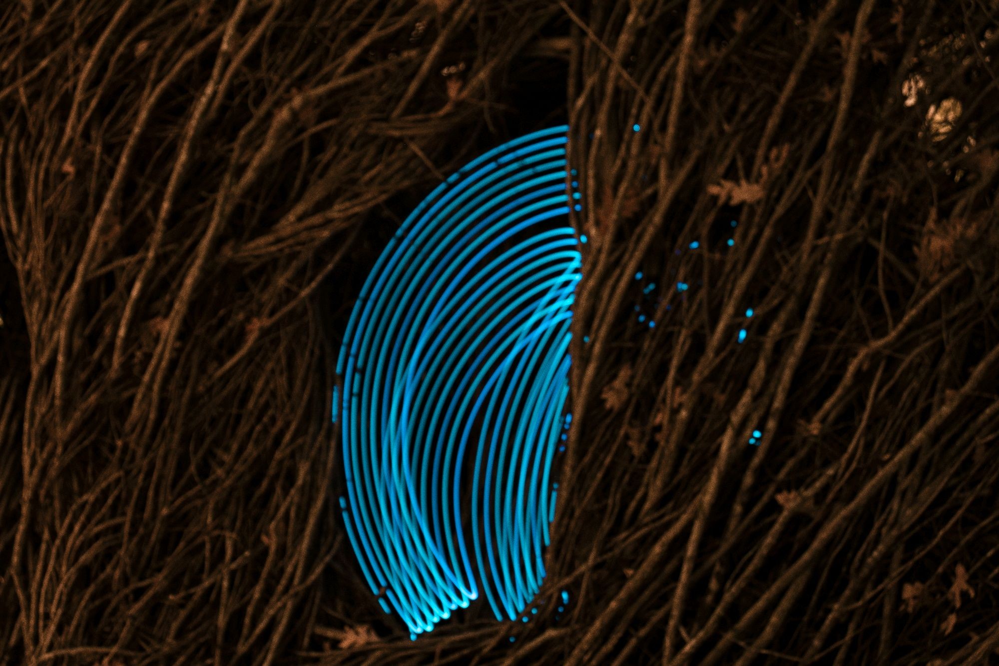 Photoshoot picture 2