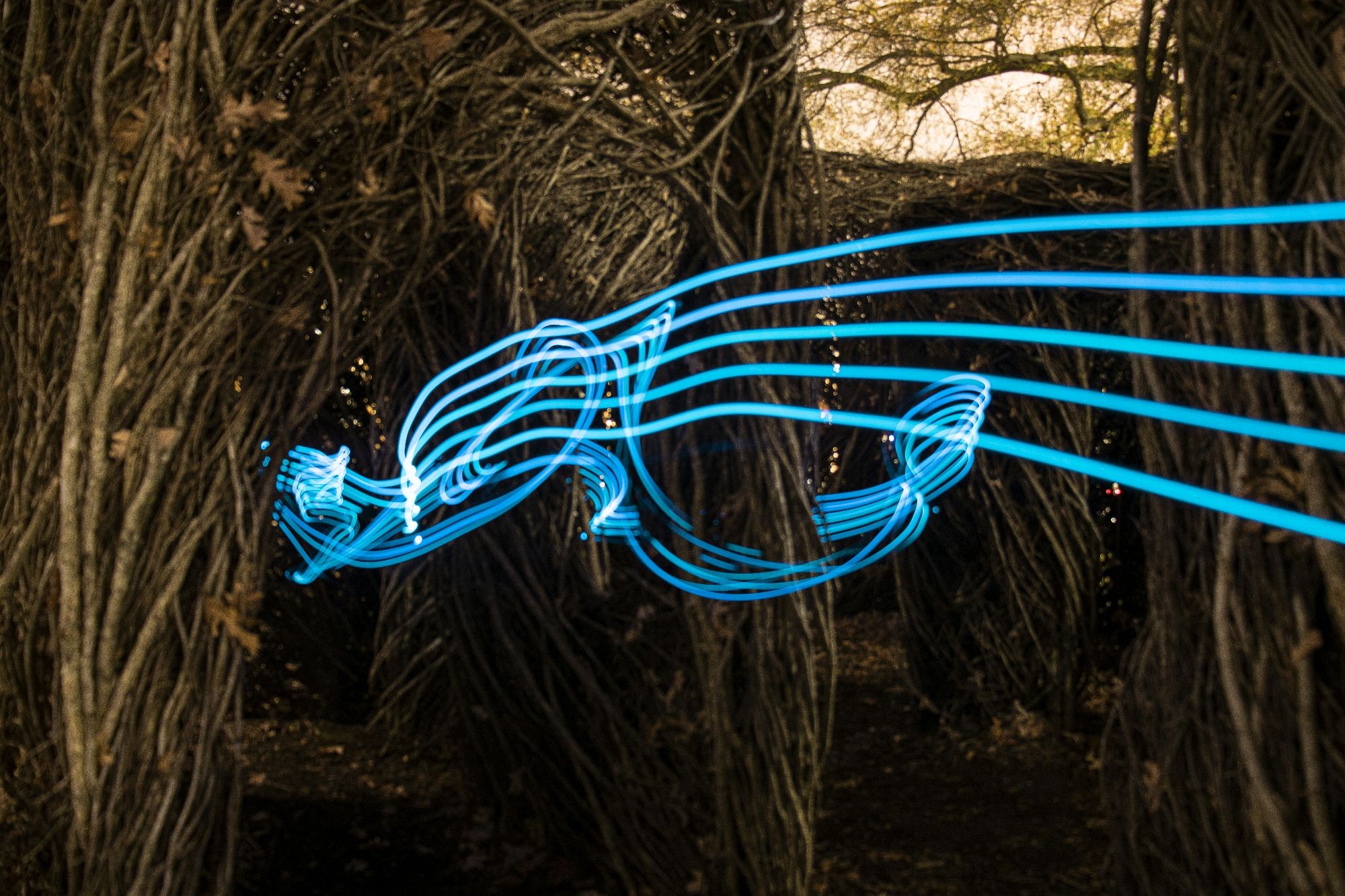 Photoshoot picture 7